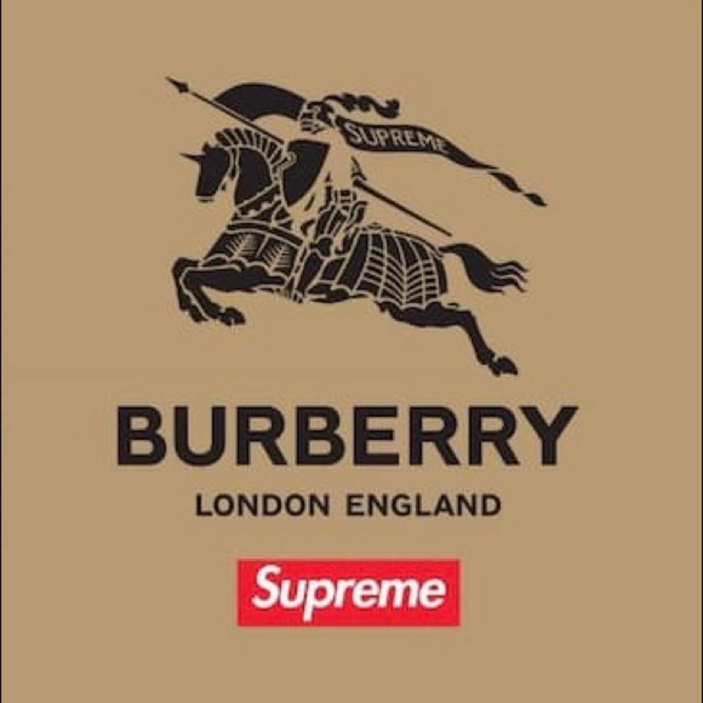 Supreme Burberry Beige Box Logo Sticker Brand New